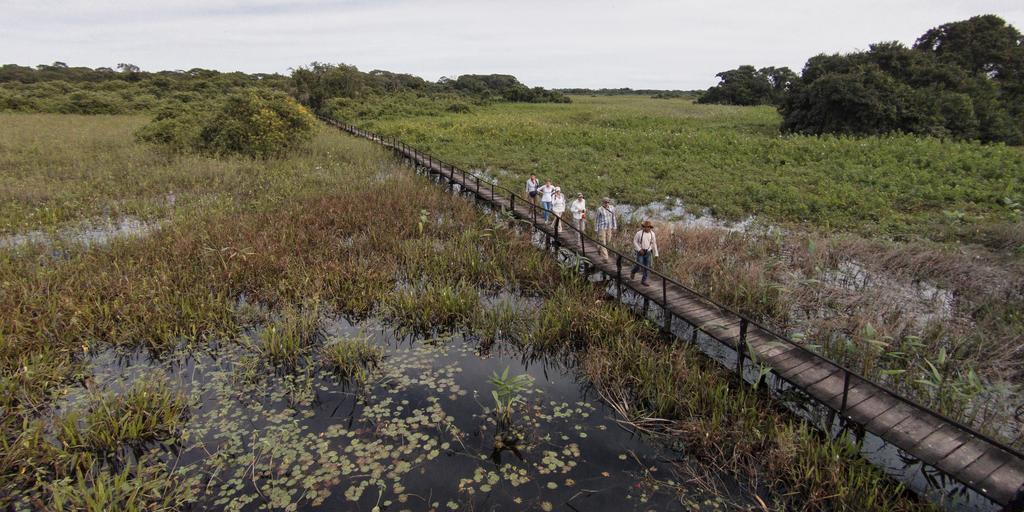 Carvoalzinho Pousada Araras Pantanal Eco Lodge מראה חיצוני תמונה