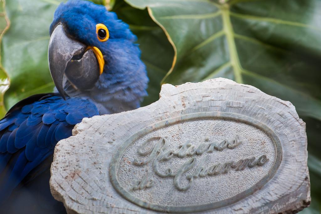 Carvoalzinho Pousada Araras Pantanal Eco Lodge מראה חיצוני תמונה