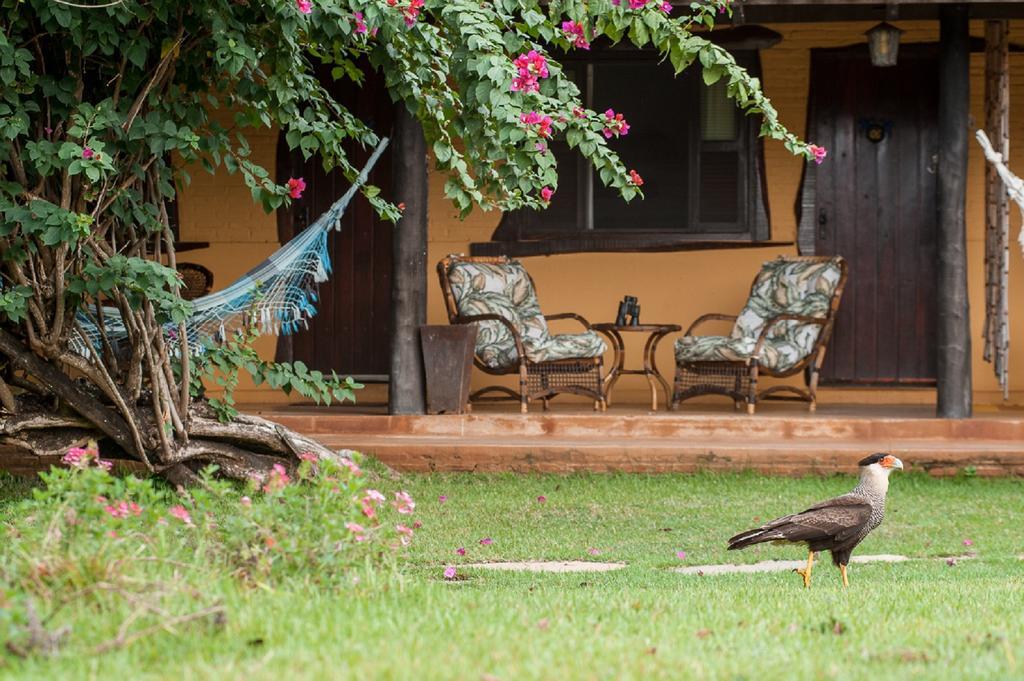 Carvoalzinho Pousada Araras Pantanal Eco Lodge מראה חיצוני תמונה