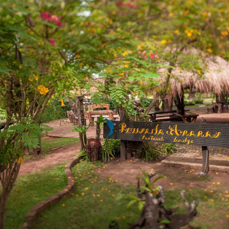Carvoalzinho Pousada Araras Pantanal Eco Lodge מראה חיצוני תמונה