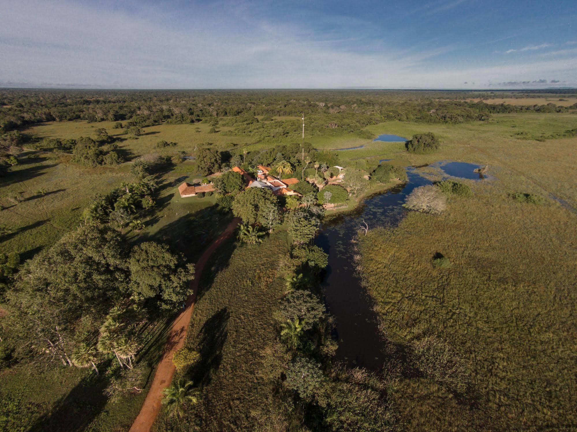 Carvoalzinho Pousada Araras Pantanal Eco Lodge מראה חיצוני תמונה