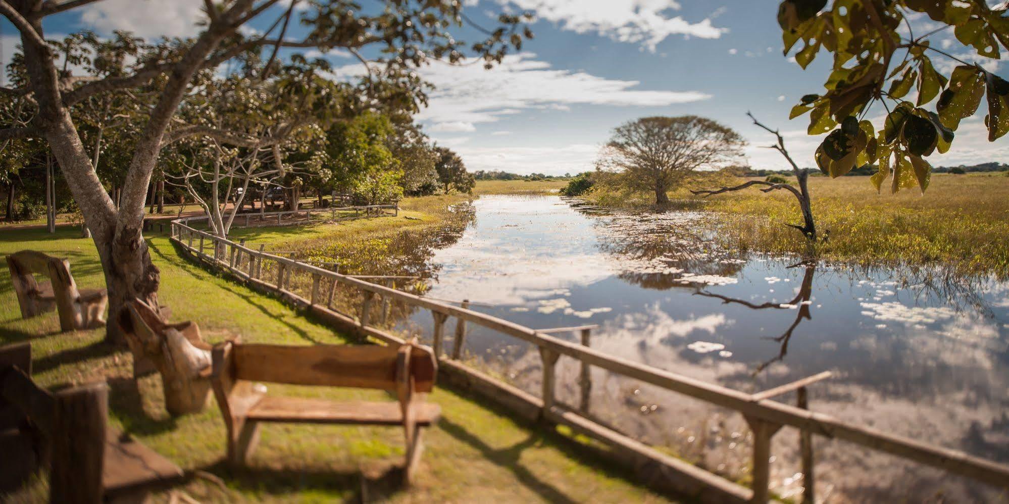Carvoalzinho Pousada Araras Pantanal Eco Lodge מראה חיצוני תמונה